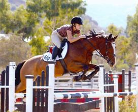 Julia Pariser of Prestige Equestrians Riding CZ Tery, a Czech Warm Blood, in a Class A horse show. She is jumping a 4ft 6 in jump in a California hunter/Jumper Horse show. Prestige Equestrians offers Horse training, Lessons, and Horse Sales in the Woodland, Sacramento, Davis California area.