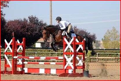 Kayla riding horse, Sir Borg.  Riding in a Class A horse show in Northern California.  Picutre of horse jumping a 2'9" jump in a jumper competition 