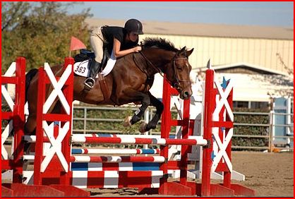 Borg, with trainer Julia Pariser, competing in the Rancho Murrieta Halloween Party horse show.  Jumping a red and white oxar combination custom horse jump.