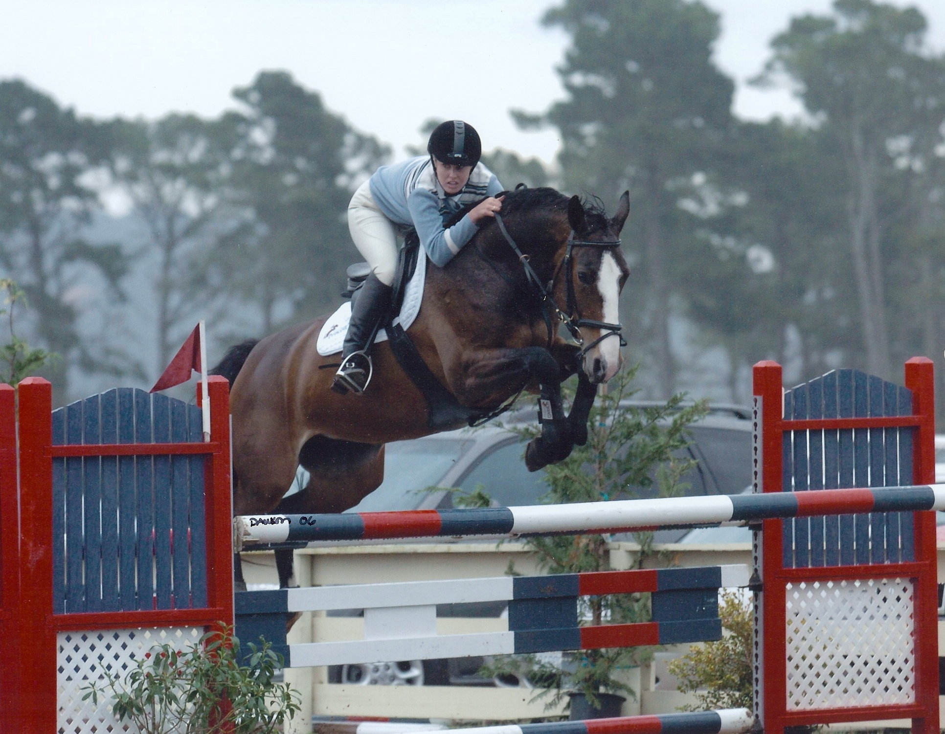 Julia Pariser of Prestige Equestrians riding horse, Cum Laude Z in a horse show over a 4ft 6 inch jump. Prestig Equestrians participates in many A and B class Horse shows throughout Northern and Southern California. Prestige Equestrians is a full service show barn offering horseback lessons, riding, and training as well as Performance Horse sales in the Woodland, Sacramento, Davis California Area.