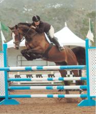 Julia Pariser of Prestige Equestrians Riding Cum Laude Z in a California Horse Hunter/ Jumper Show. Prestige Equestrians specializes in performance horse Jumpers and Hunter competition as well as recreation english riding. Prestige Equestrians offers horse riding, lessons, training, and sales in Woodland California. Just minutes from Sacramento and Davis California. Julia Pariser has 18 years of Horse training and showing experience as a competition show jumper.