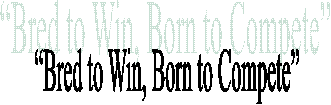 �Bred to Win, Born to Compete�
