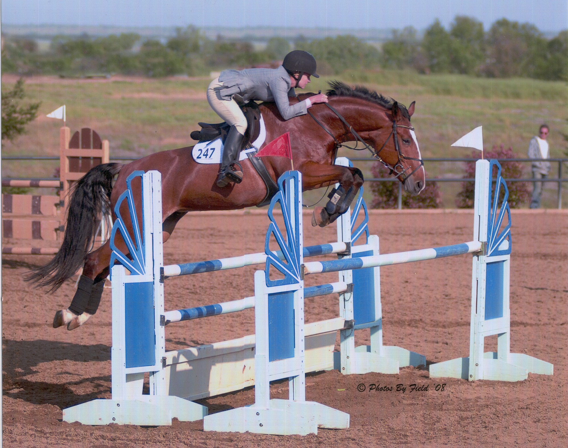 CZ Terry Grand Prix Prospect Horse Jumper For Sale,Castro Valley, San